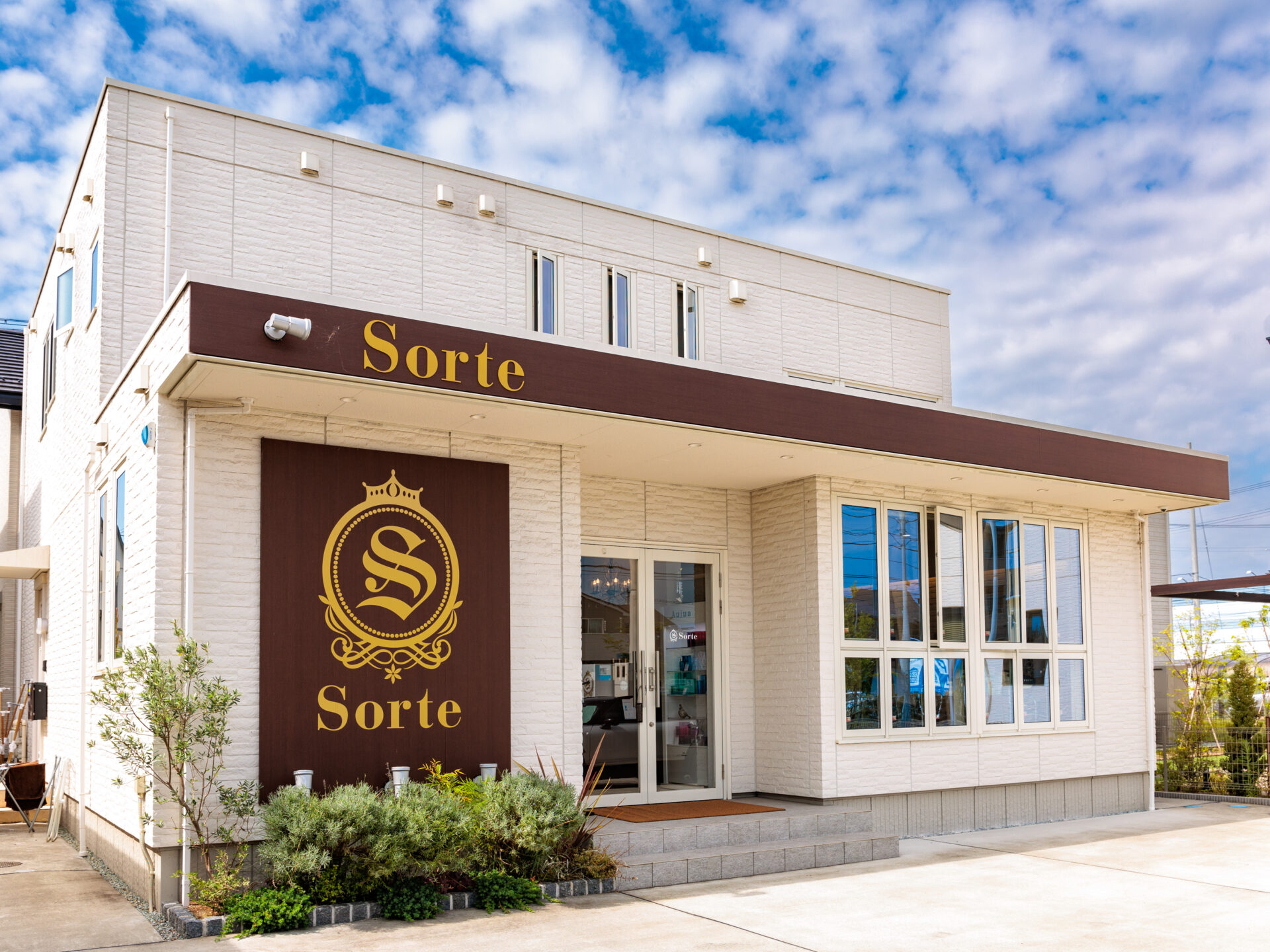 Sorte | サムネイル画像