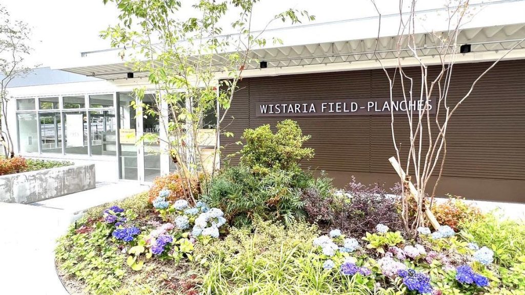 WISTARIA FIELD   PLANCHES | サムネイル画像